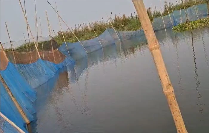 ফরিদপুরে ১০ হাজার মিটার নিষিদ্ধ কারেন্ট জাল জব্দ 